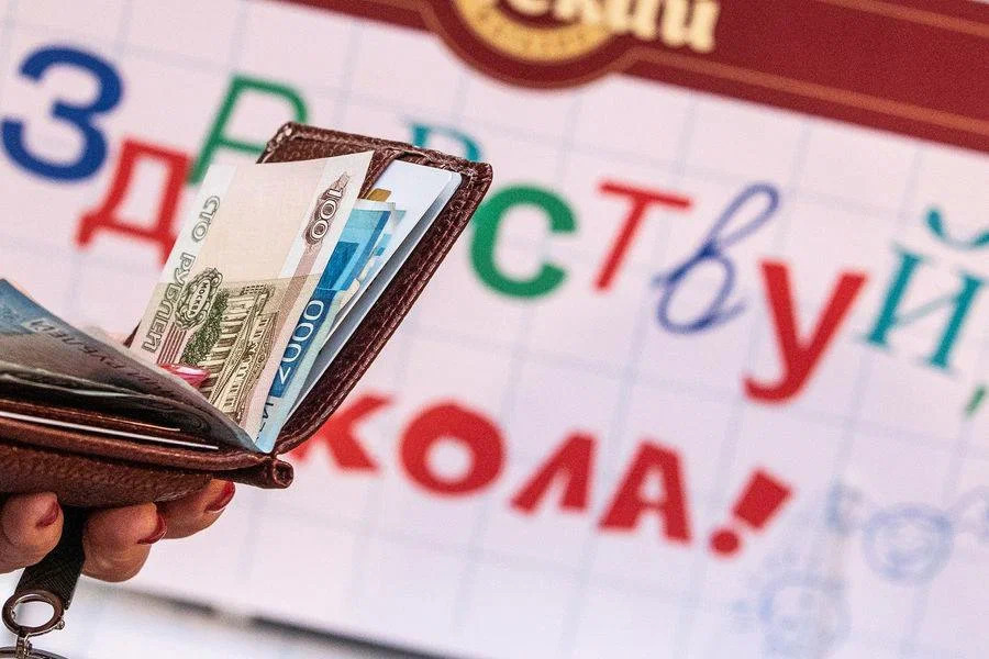 Добровольная сдача денег на школу или поборы: полезная информация