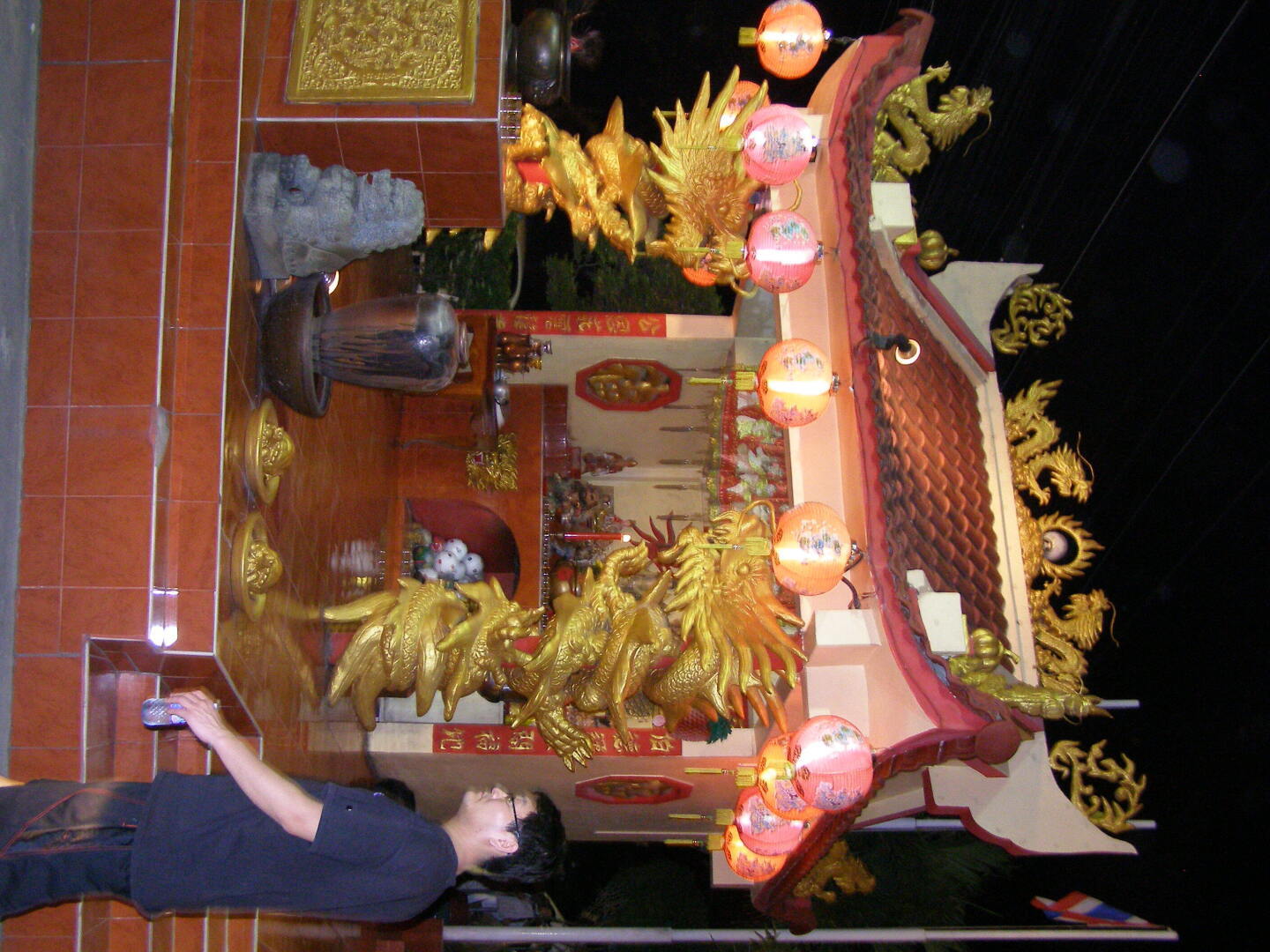 Они готовы Вас полюбить. Из жалости?