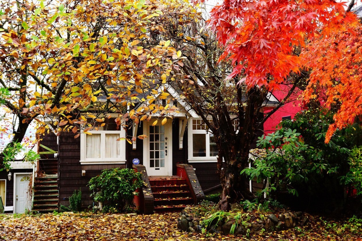 Как осенью обрабатывать сад?