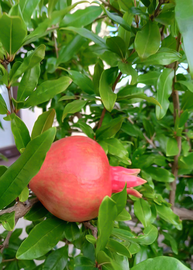 Такой сентябрь в Анапе