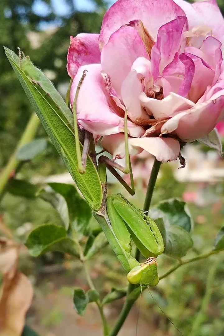 Такой сентябрь в Анапе