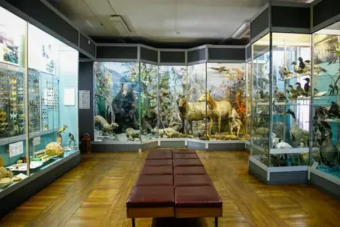 Рассказ "Туристические места Владивостока"