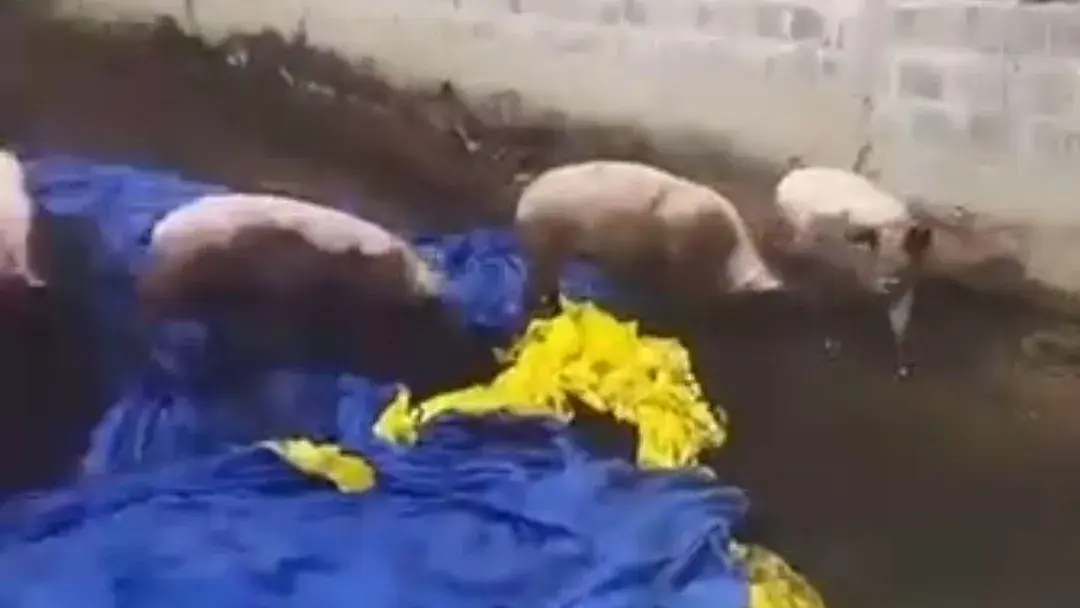 Символ – прапор в навозе.