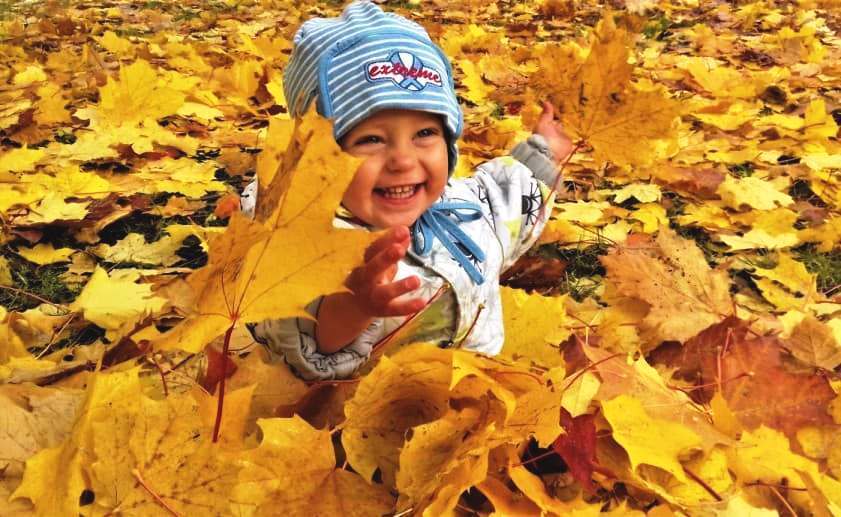 Что за «бабье» лето, почему так называется и когда бывает?