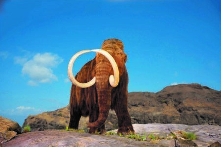 Какой была Земля во время ледникового периода?