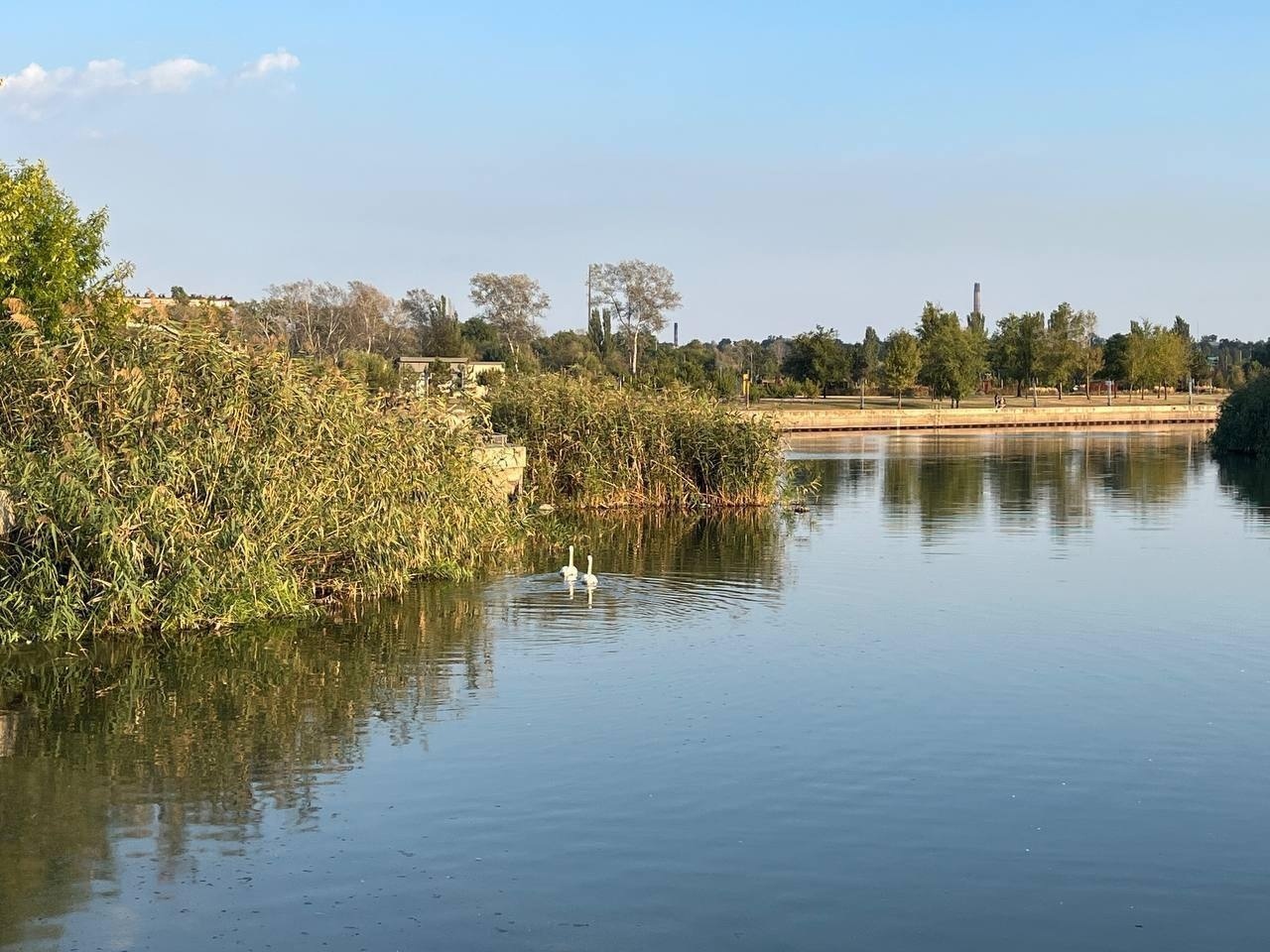 Сколько стоят квартиры в Мариуполе и кто их покупает