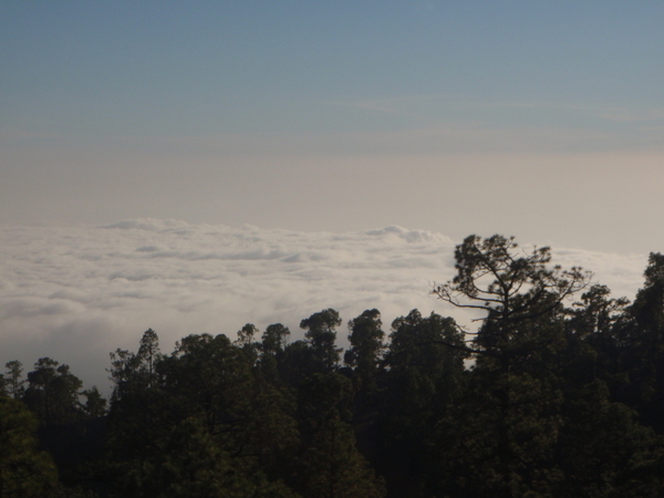 Тенерифе. Продолжение 2