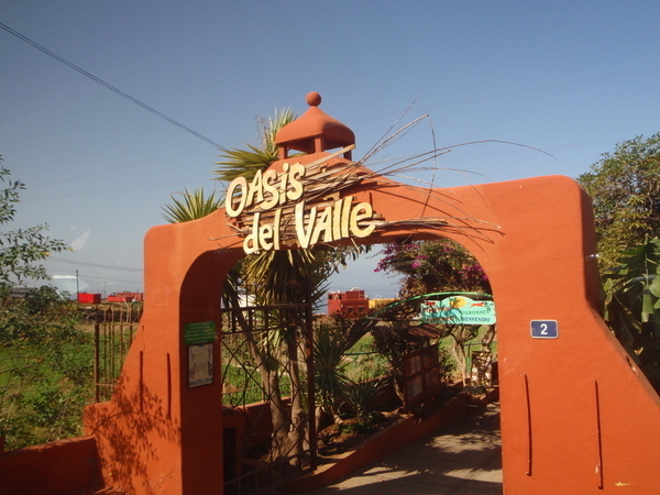 Тенерифе. Продолжение 2