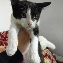 Марина, г. Ставрополь