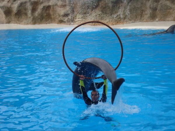 Тенерифе. Loro-Park. (Мои путешествия). День 5