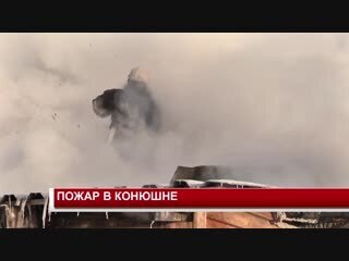 Трагедия в Ленинградской области: Потеря 8 лошадей, но спасены 5