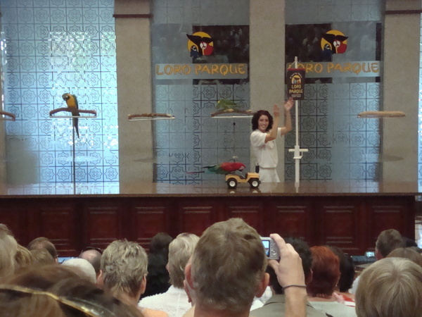 Тенерифе. Loro-Park. (Мои путешествия). День 5