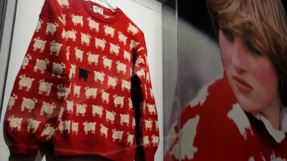 "Легендарный Свитер Принцессы Дианы: Раскрытие Тайны Аукционной Покупки за 1,1 Миллиона Долларов"