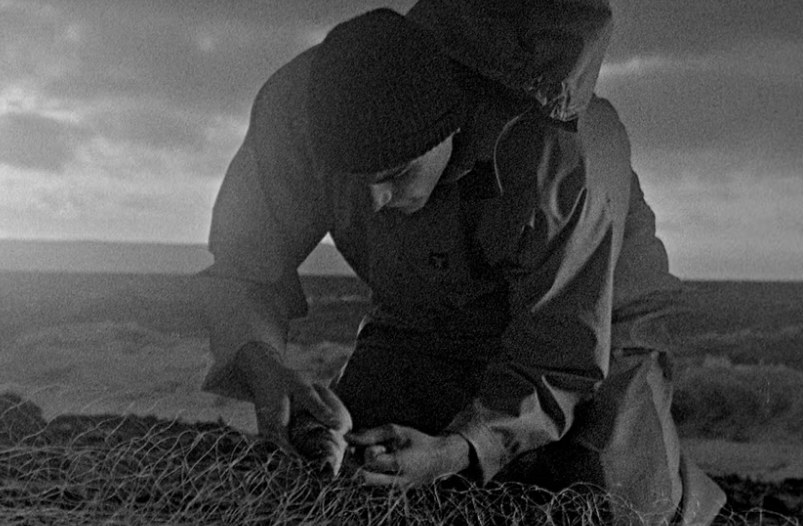 Спустя 10 лет я ухожу с поста кинокритика Observer. Вот мои лучшие фильмы десятилетия