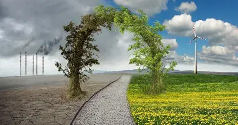 Климатический калапс