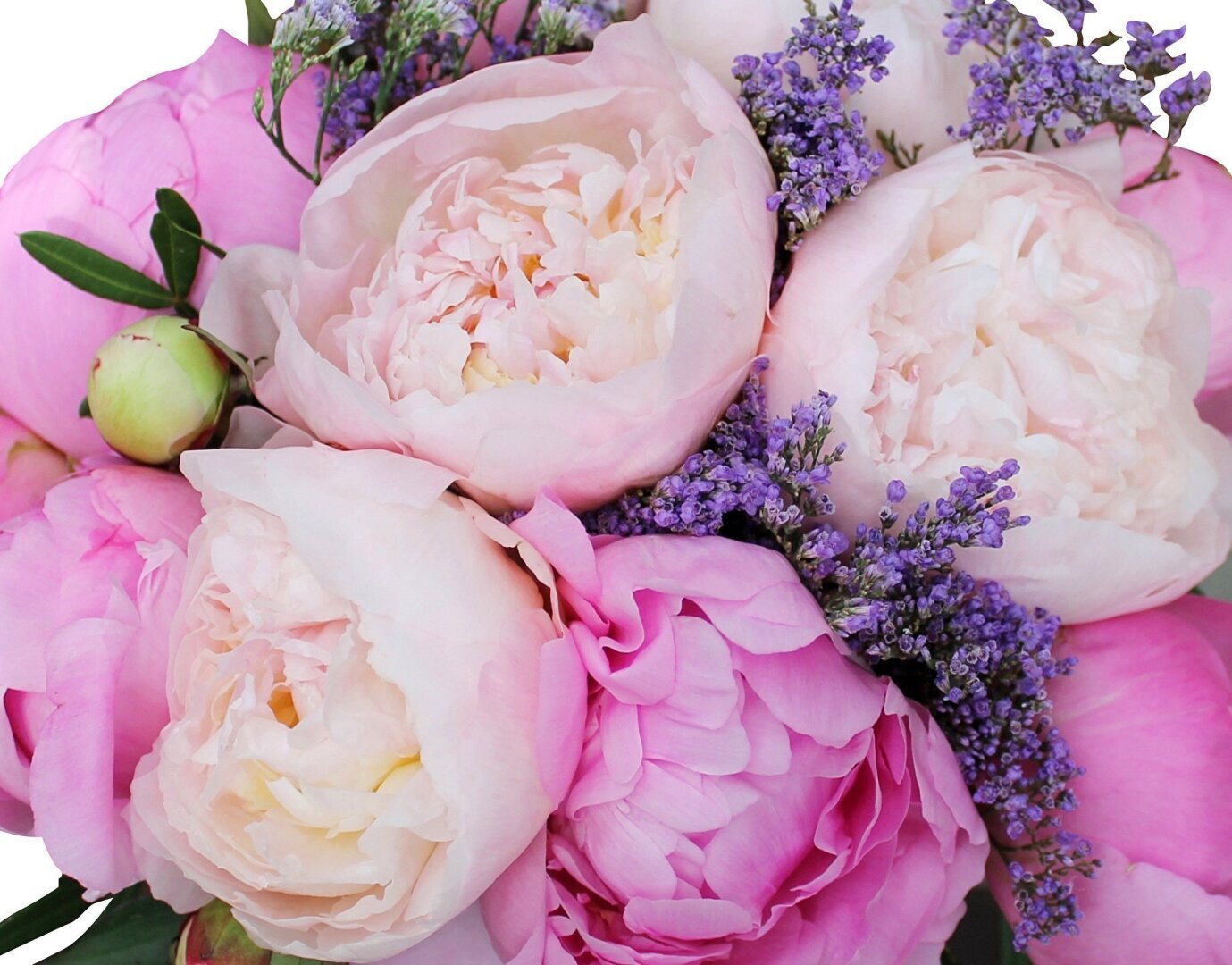 В гармонии с мирозданием