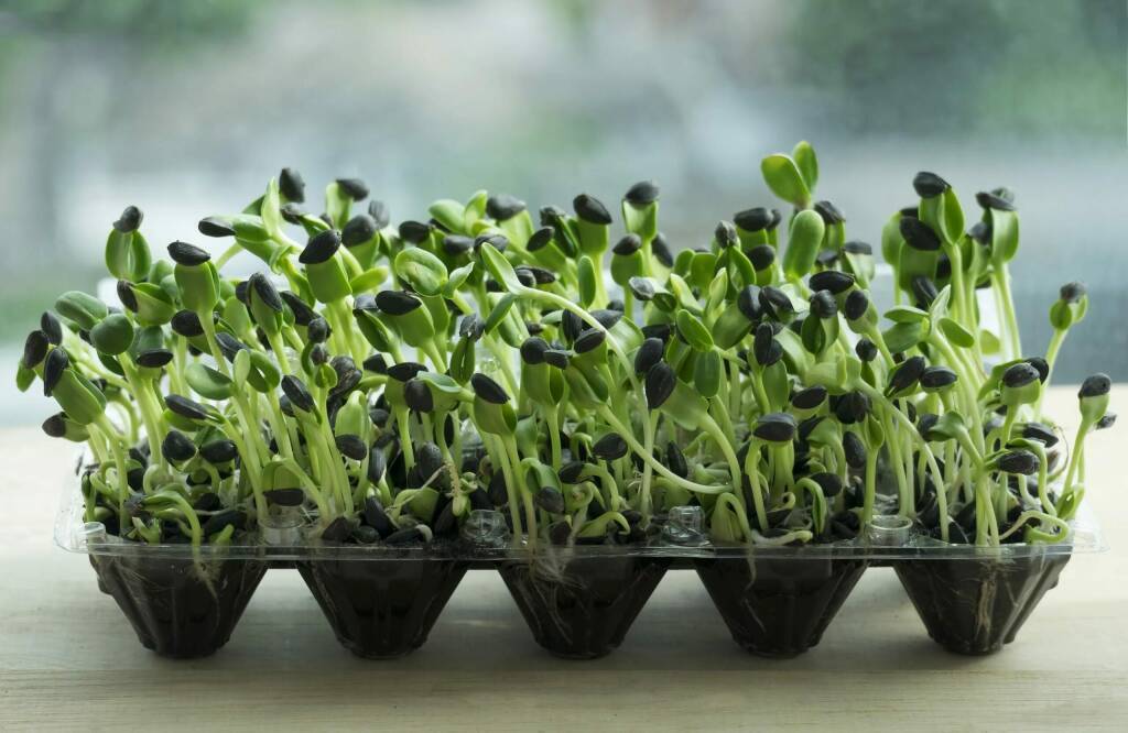 Необычные способы использования обычных вещей