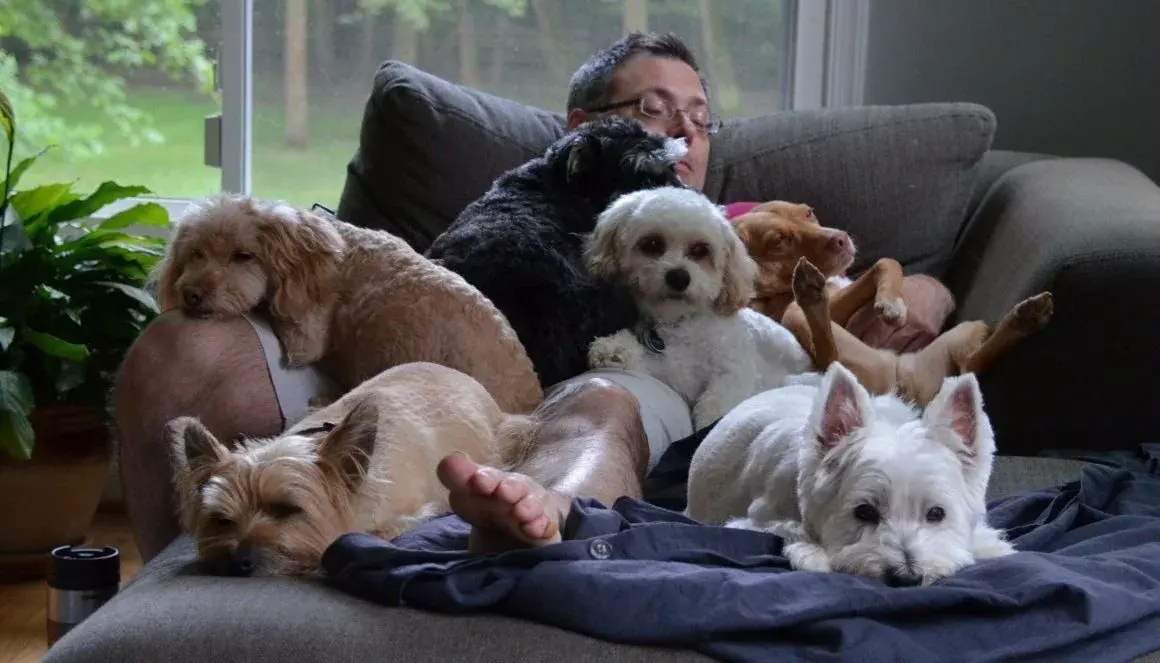 Владельцам домашних животным