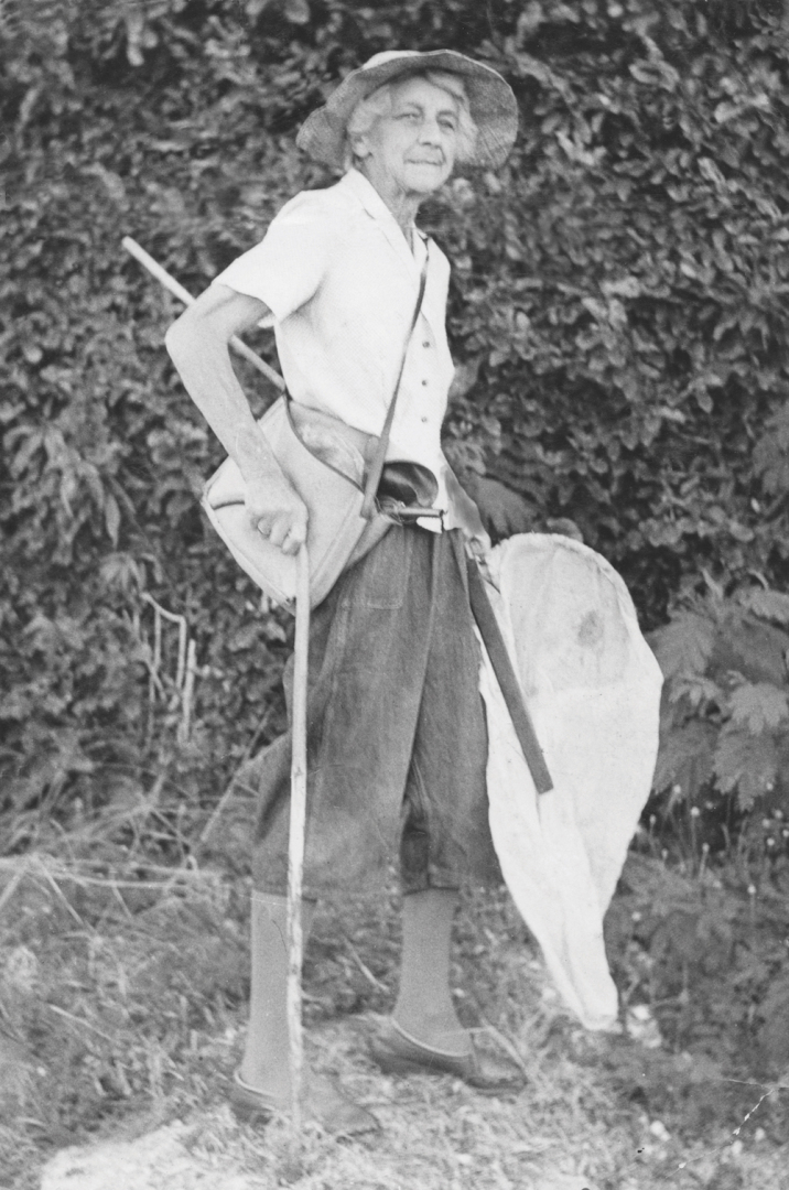 Эвелин Чизман и отравленное копье Эвелин Чизман отправилась в Вануату и привезла оттуда копье с отравленным наконечником и новое понимание ...