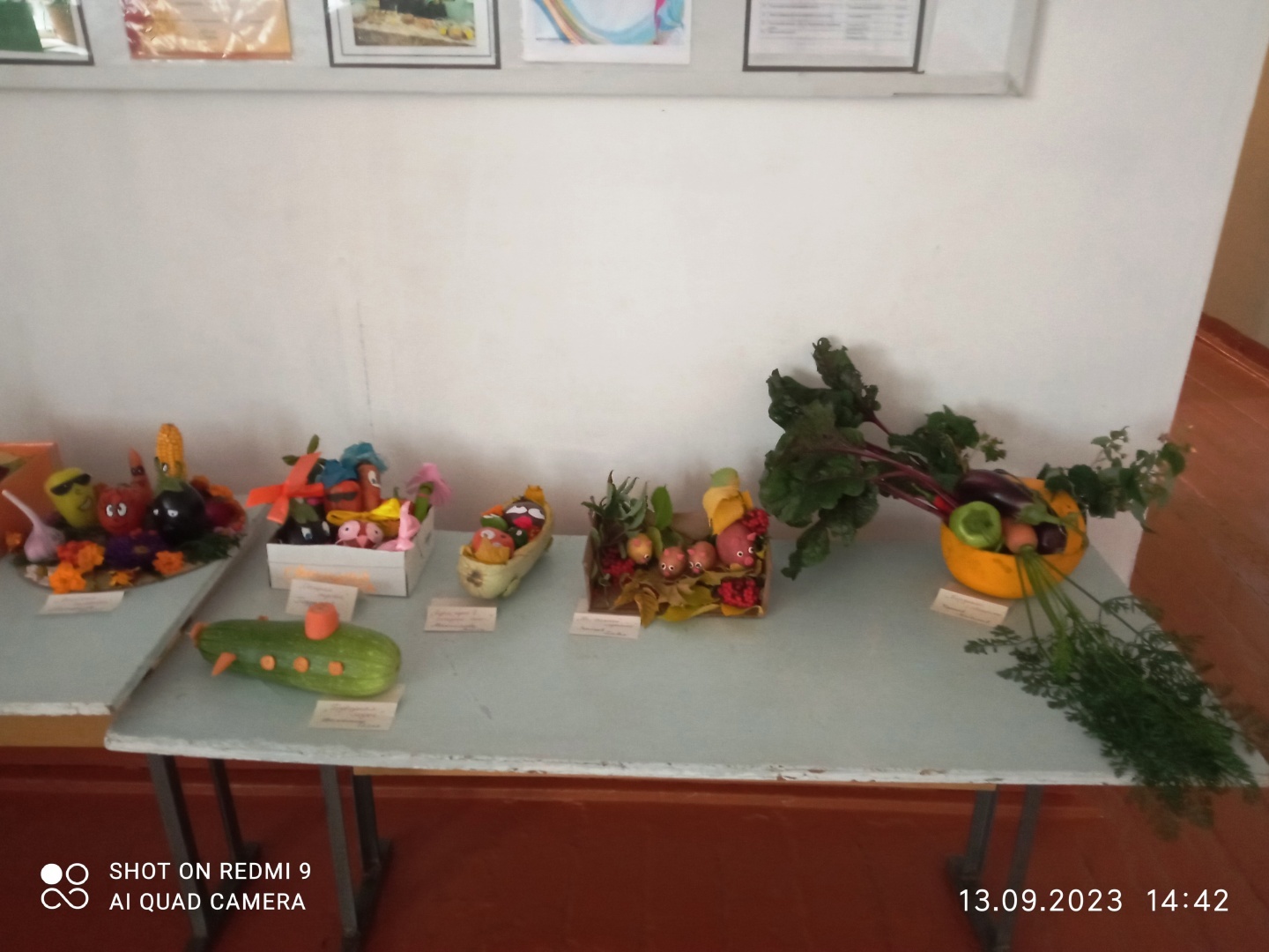 Выставка творческих работ "Дары природы"