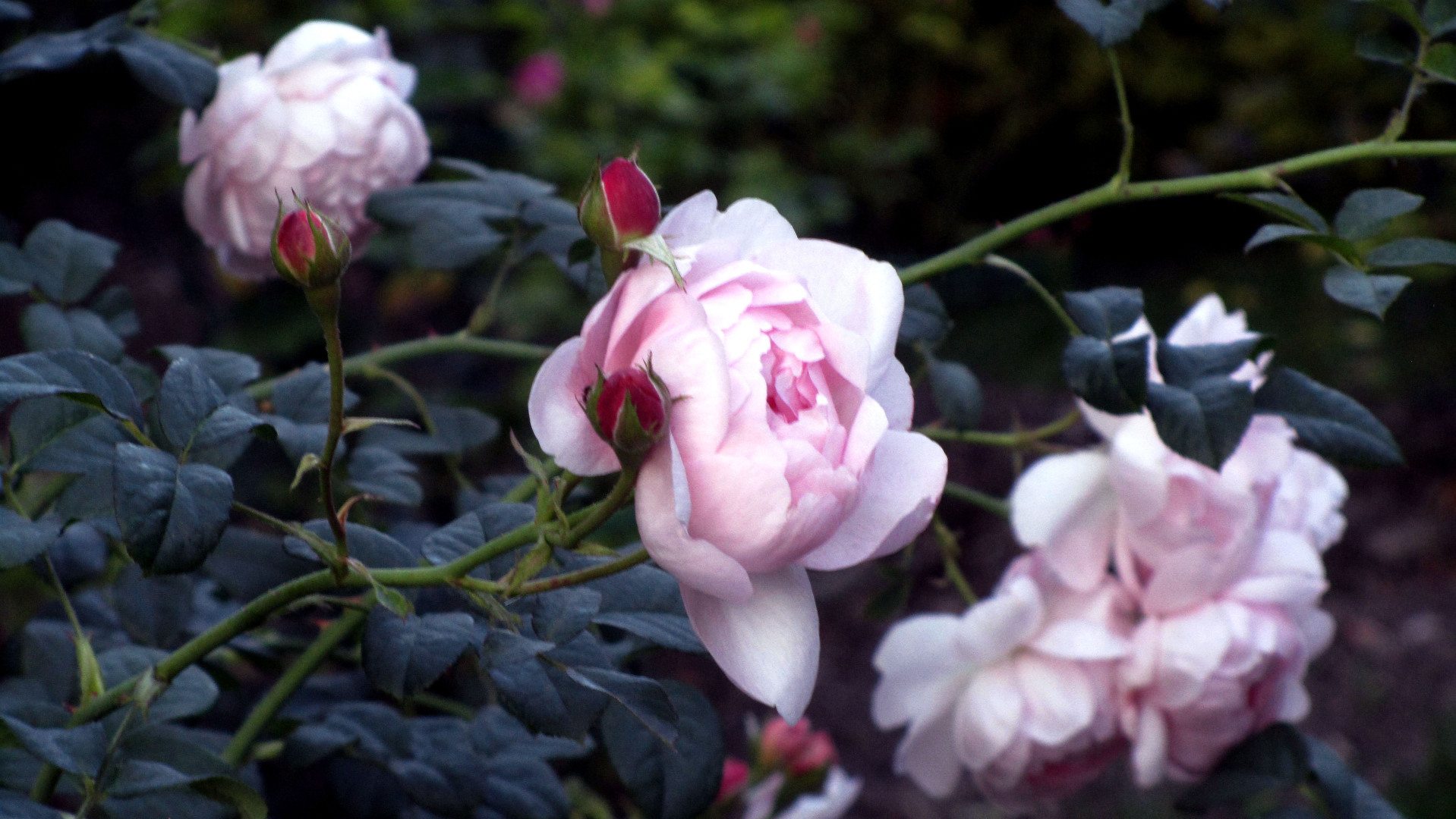 Дом, где живут картины: прогулка по Ярославскому художественному музею