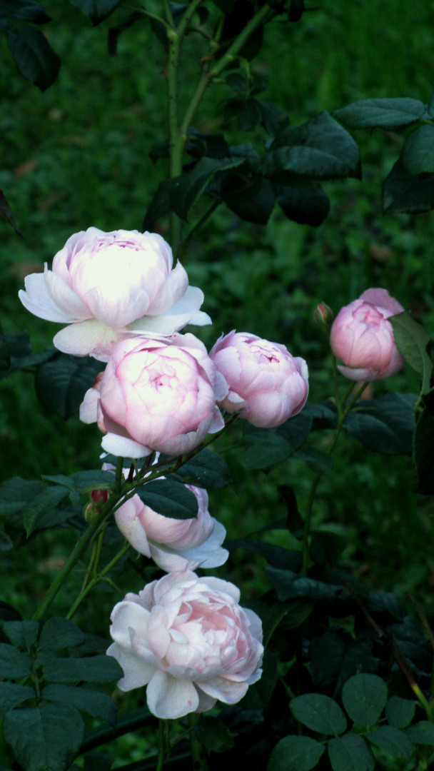 Дом, где живут картины: прогулка по Ярославскому художественному музею