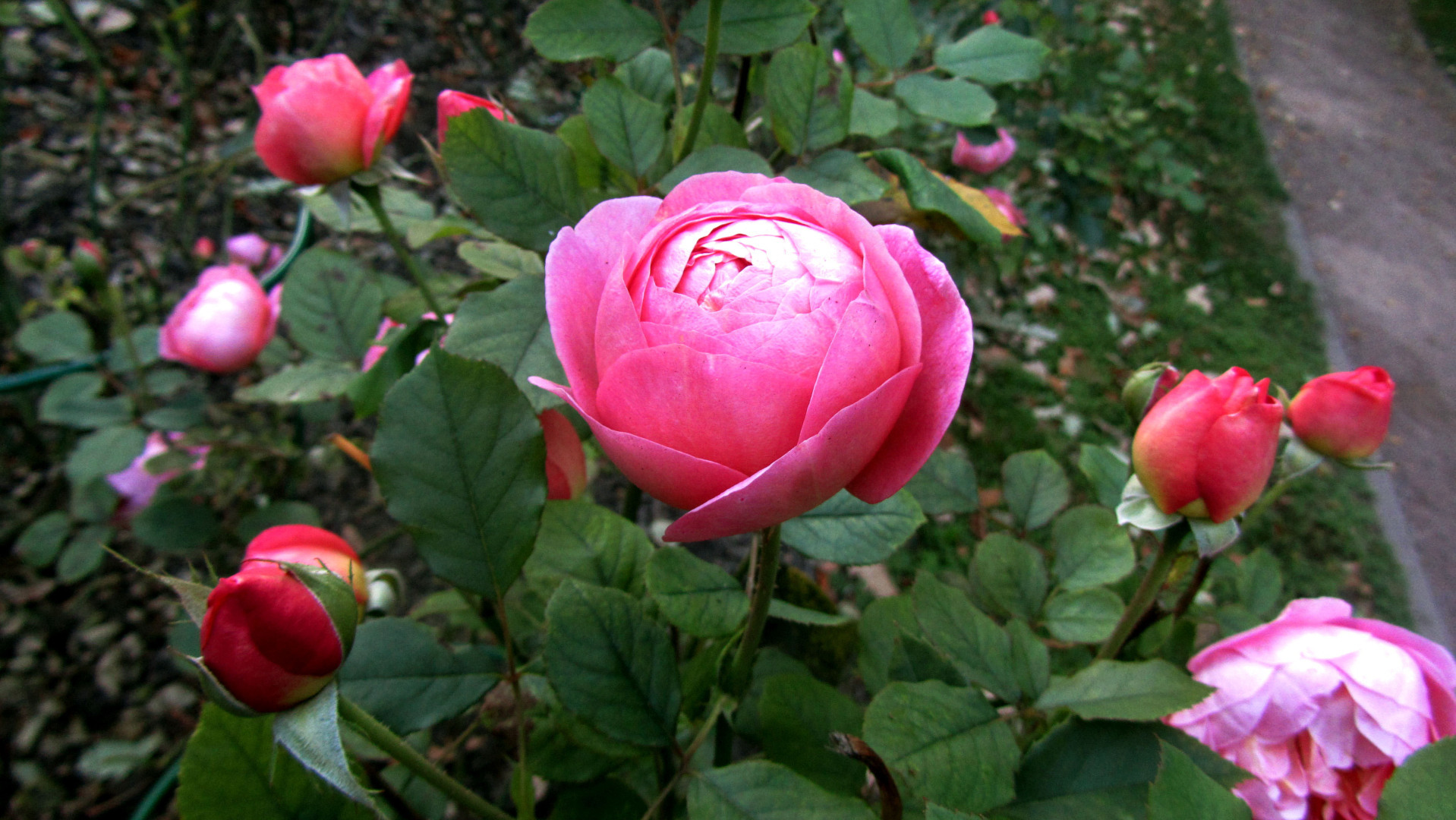 Дом, где живут картины: прогулка по Ярославскому художественному музею