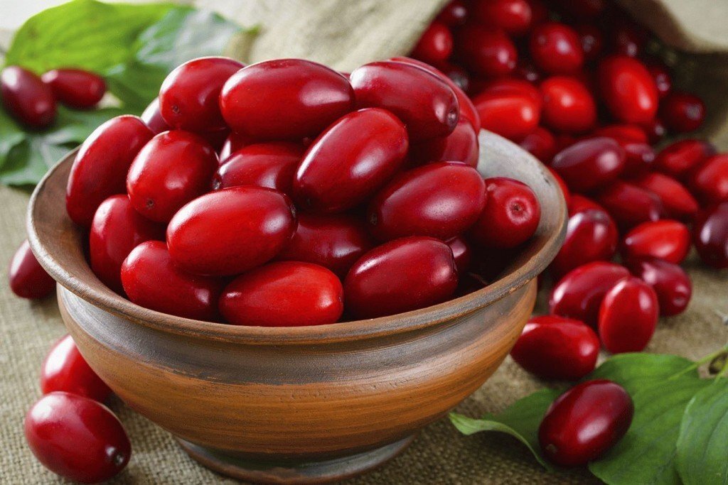 Чем полезен кизил?