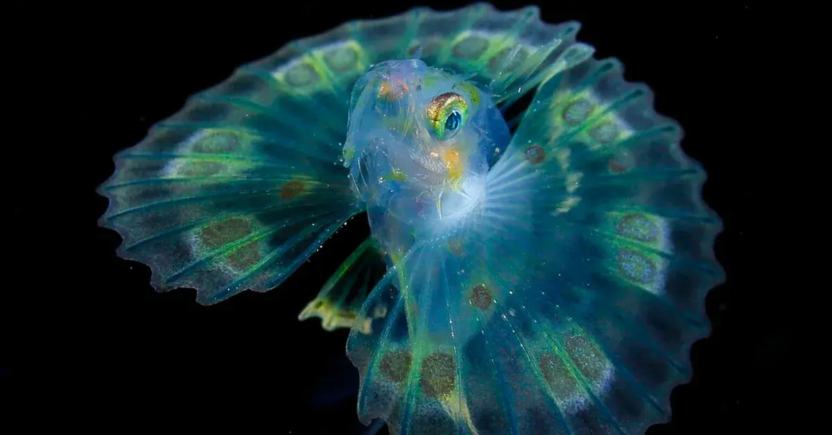 Удивительные адаптации животных к экстремальным условиям среды