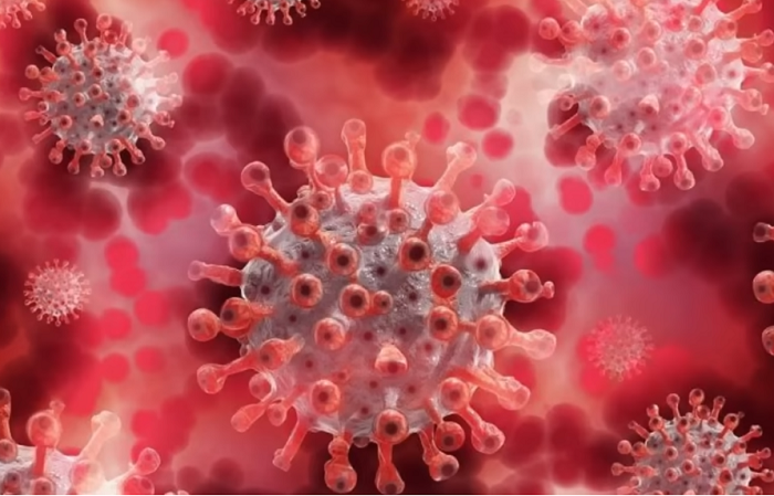 Ковид возвращается? Мир накрывает новый свирепый штамм коронавируса «Pirola». Чем он опасен?
