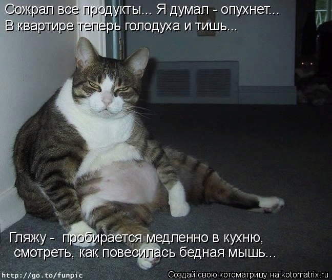 Без кошек жить нельзя на свете, нет! ( часть 2).