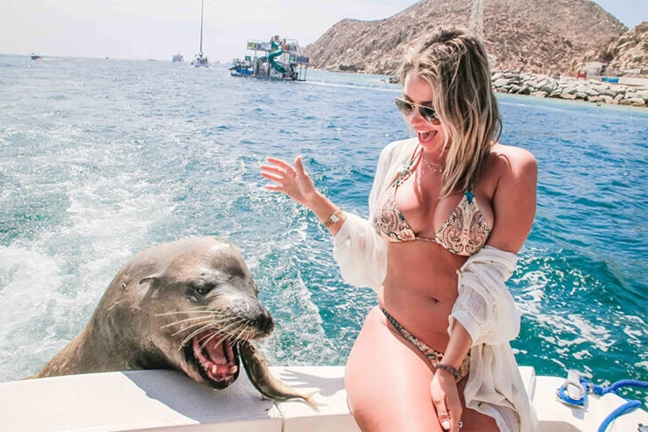 Эй! Рассмейтесь Над Этими Забавными И Потрясающими Ошибками На Лодке