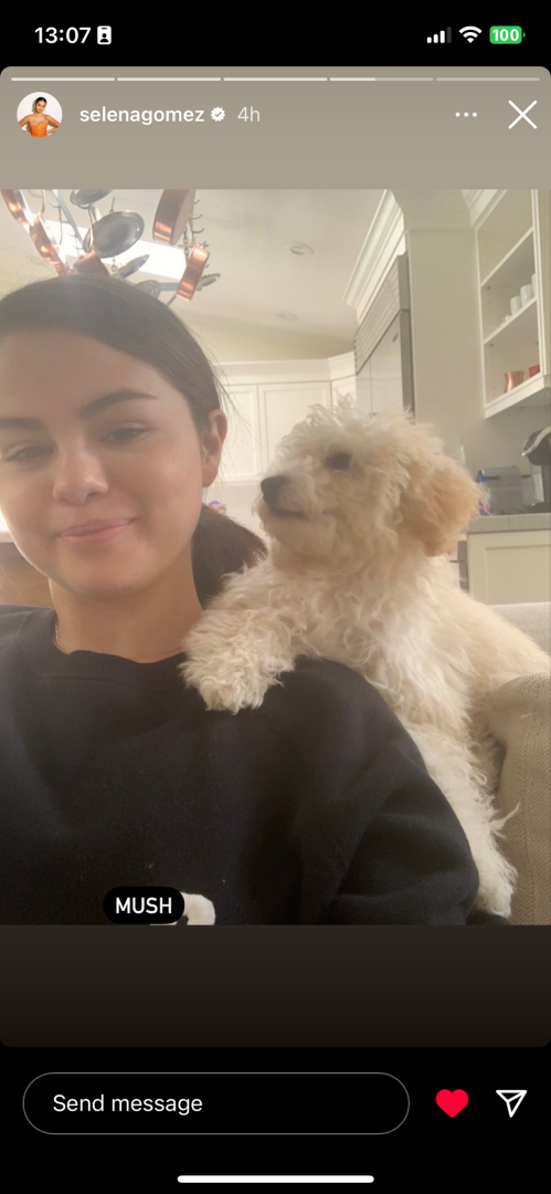 Селена Гомес выложила несколько селфи без макияжа и снимков в корсете