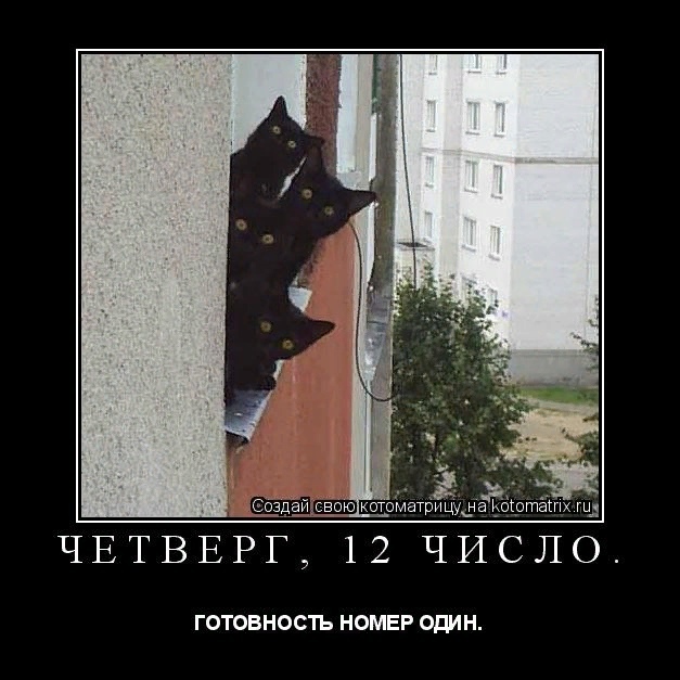 Без кошек жить нельзя на свете, нет! ( часть 2).