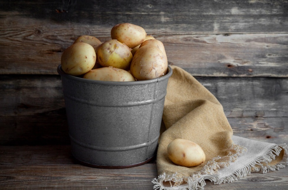 Что выгоднее: сажать картошку или покупать её в магазине?