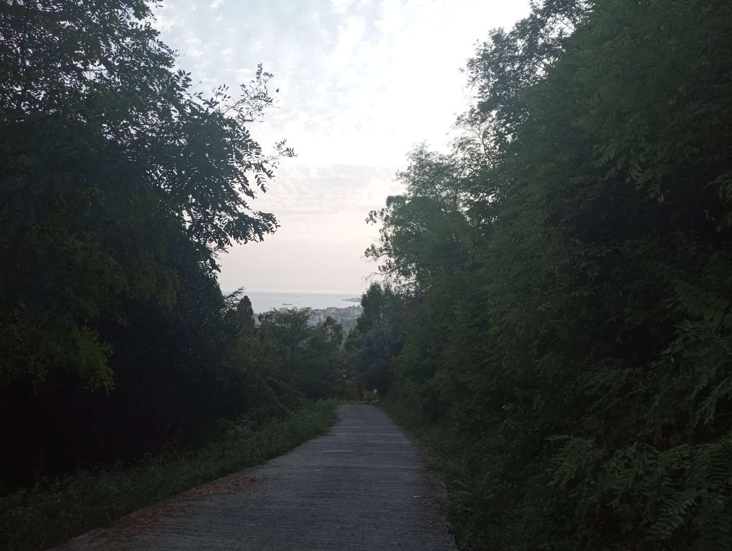 Абхазия. Сухум. Продолжение. Часть 3