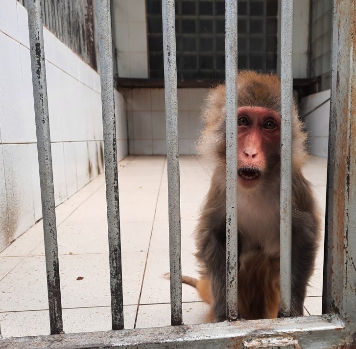 Абхазия. Сухум. Продолжение. Часть 3