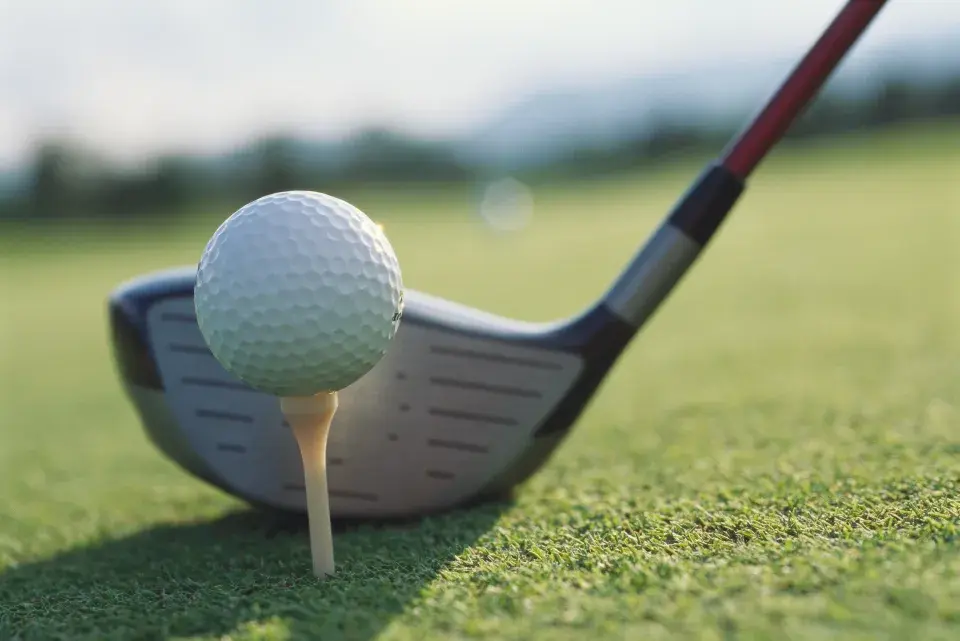 Скрытые заголовки: 12-летний мальчик стал национальным чемпионом по гольфу – без всякого опыта