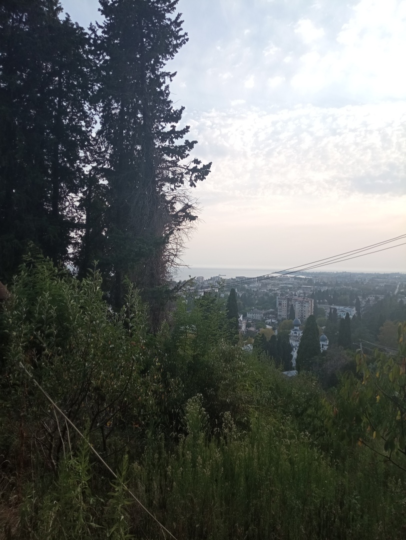 Абхазия. Сухум. Продолжение. Часть 3