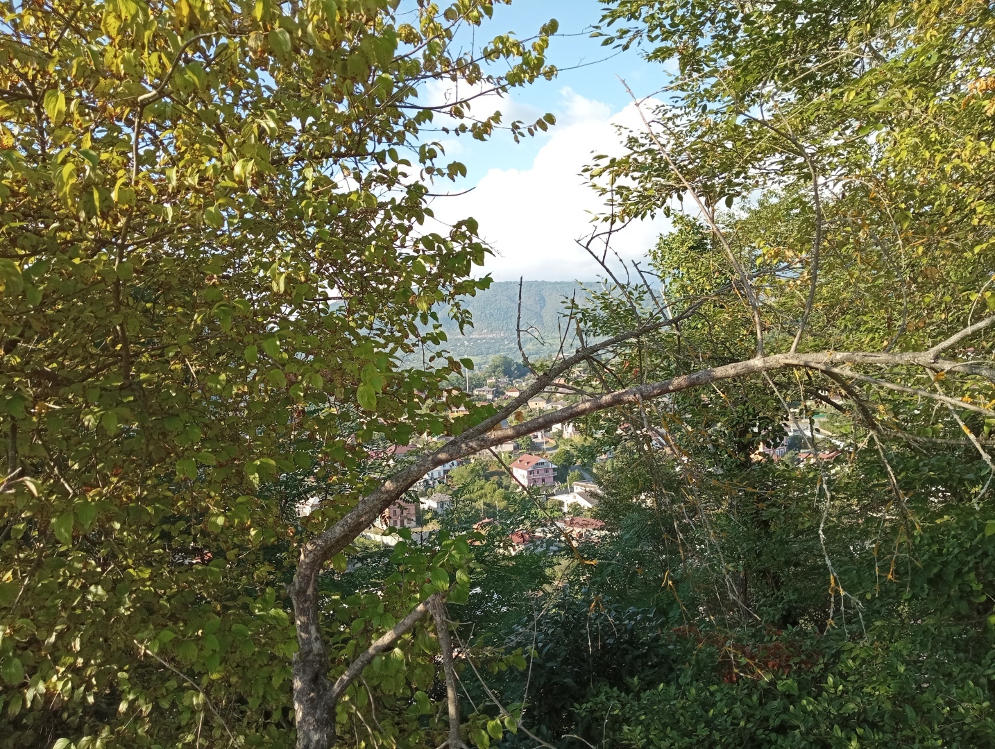 Абхазия. Сухум. Продолжение. Часть 3