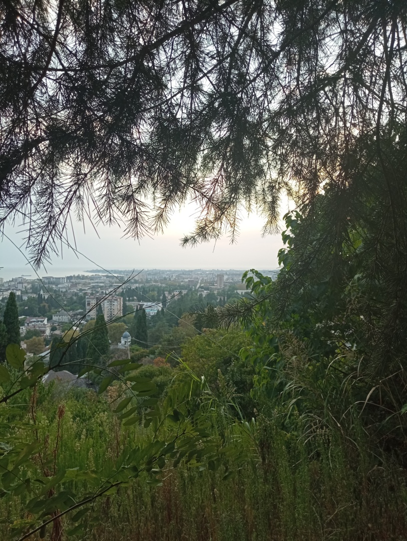 Абхазия. Сухум. Продолжение. Часть 3