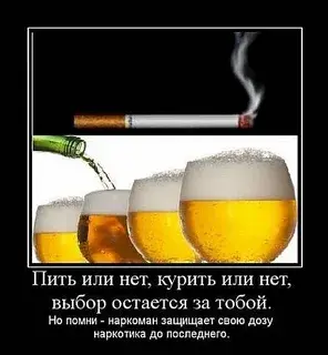 Пиво: Польза и Вред – Раскрываем все секреты