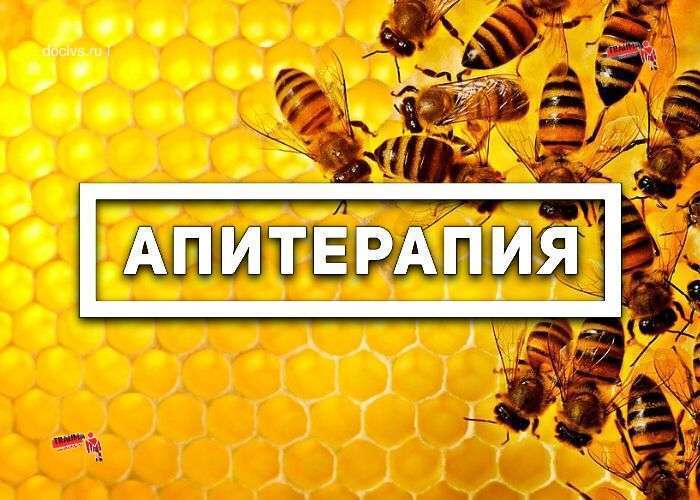 Пчеловодство апитерапия