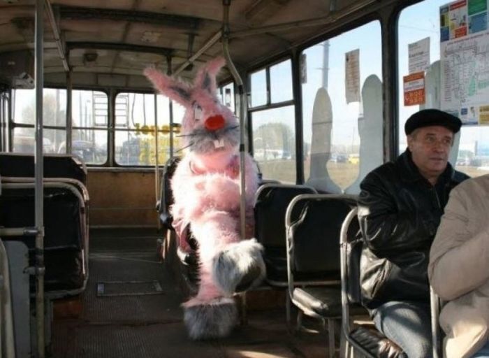 Почему безбилетника называют «зайцем»