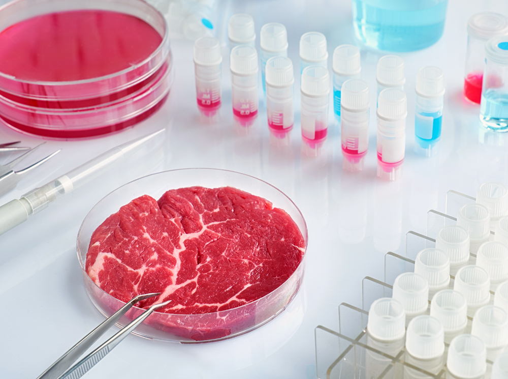 Еда будущего: инновации в области питания и сельского хозяйства