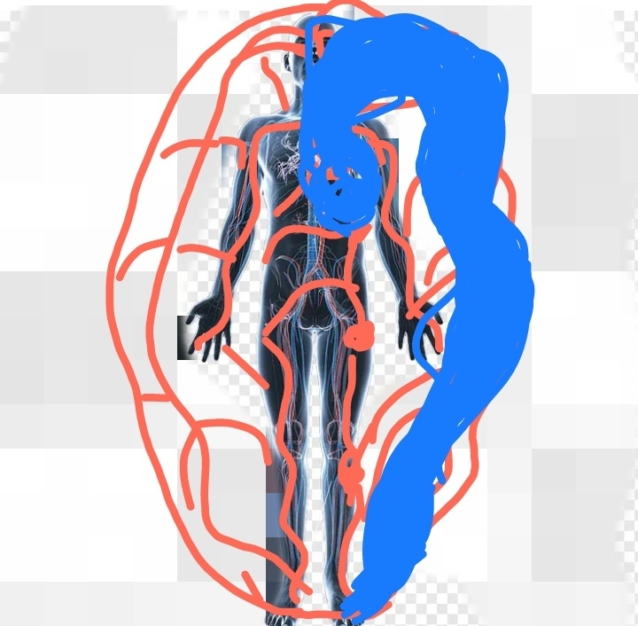 Что скрывает от нас президент? Просветление. РА.
