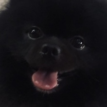 Алёна Александровна, г. Владимир