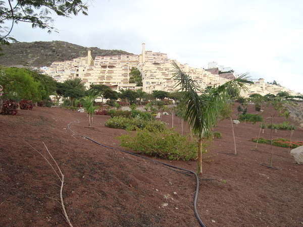 Тенерифе. Завершение (Мои путешествия)