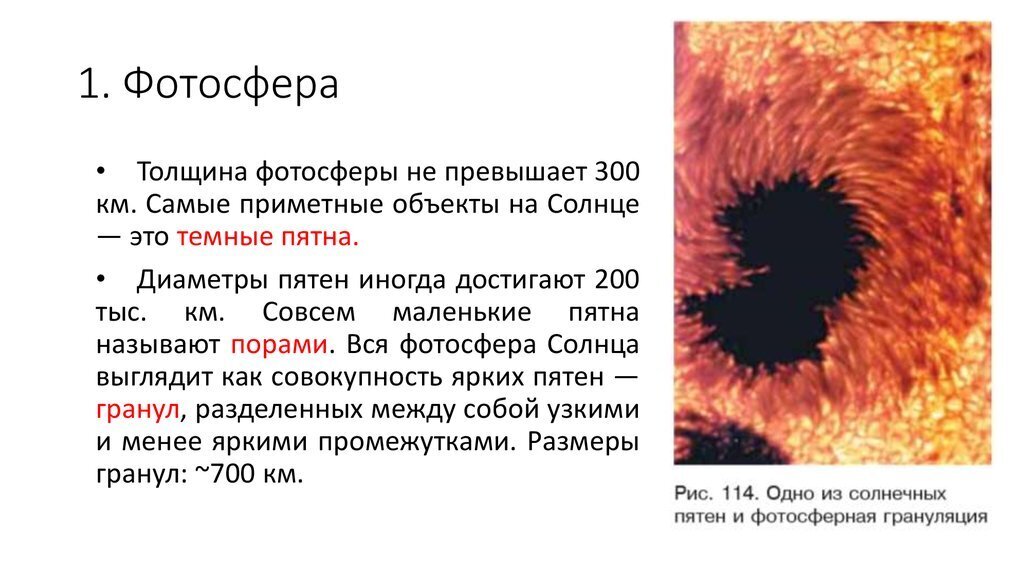 Источник жизни-Солнце!