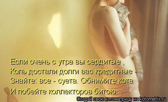 "Без кошек жить нельзя на свете, нет!" (часть 3)